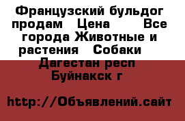 Французский бульдог продам › Цена ­ 1 - Все города Животные и растения » Собаки   . Дагестан респ.,Буйнакск г.